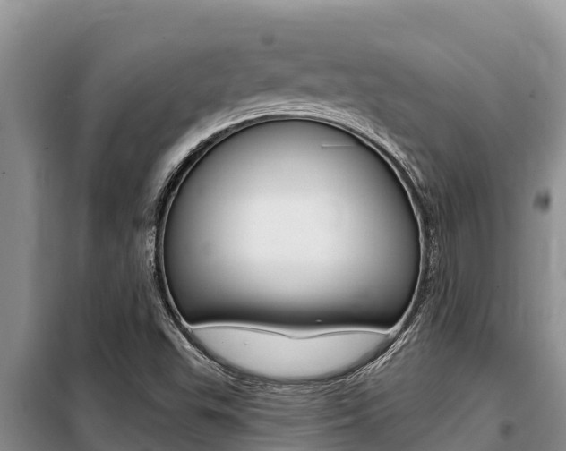 X0000099421503200805090738