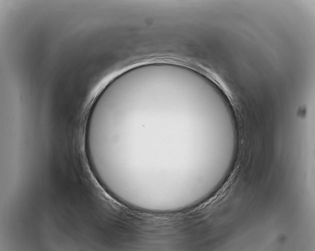X0000099421504200805090738