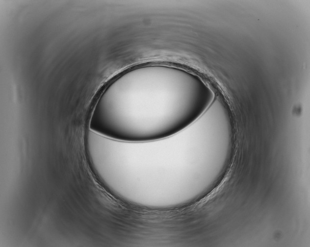X0000099421505200805090739
