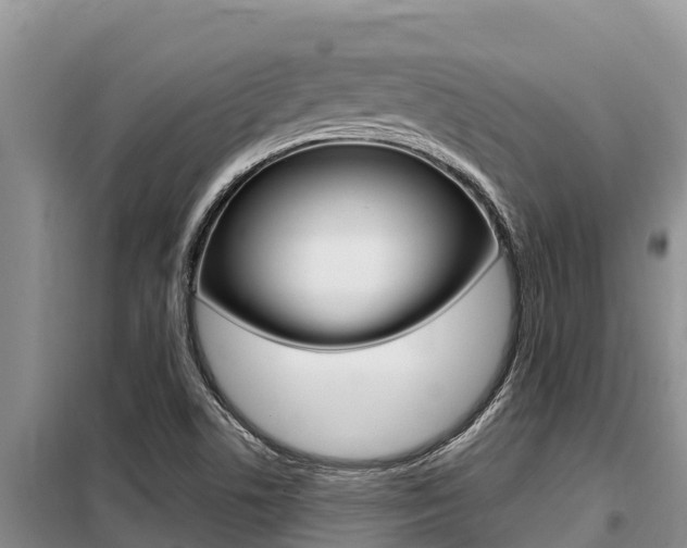 X0000099421506200805090739
