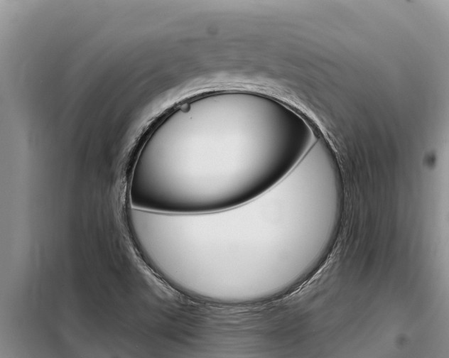 X0000099421507200805090739