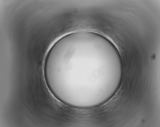 X0000099421508200805090739
