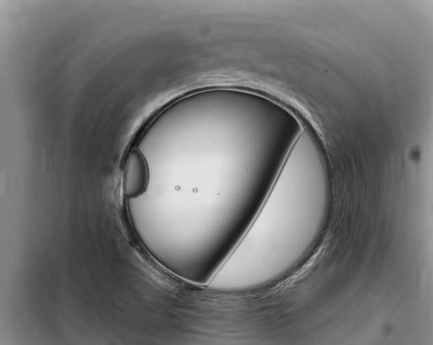 X0000099421509200805090739
