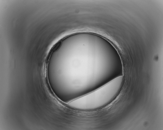 X0000099421510200805090739
