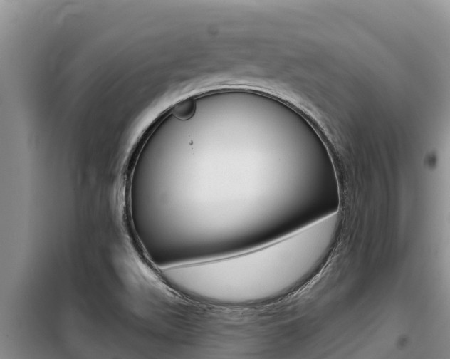 X0000099421511200805090739