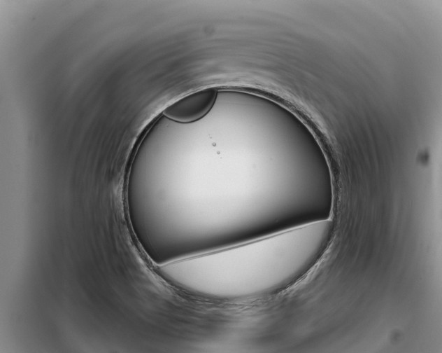 X0000099421513200805090739