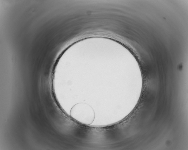 X0000099421514200805090739