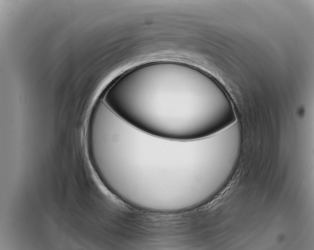X0000099421515200805090739