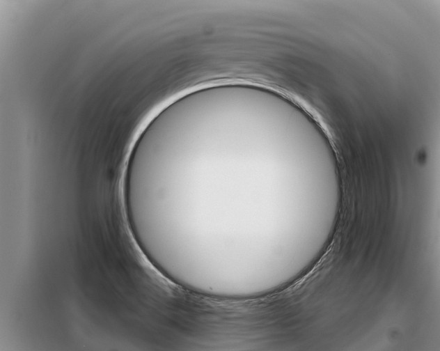 X0000099421516200805090739