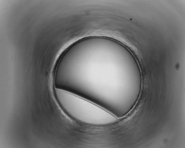 X0000099421517200805090739