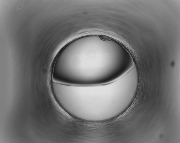X0000099421518200805090739