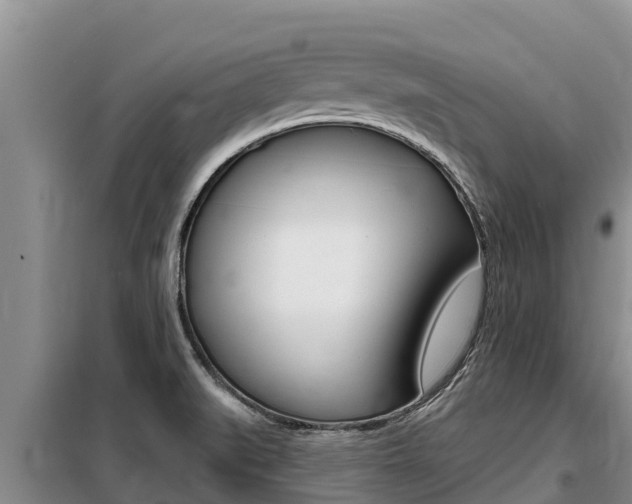 X0000099421519200805090739