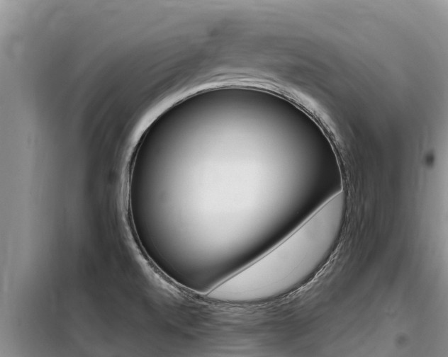 X0000099421520200805090739