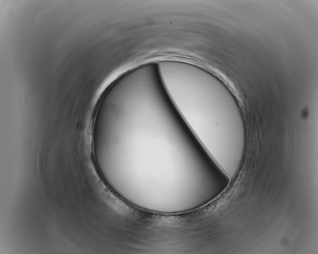 X0000099421522200805090739