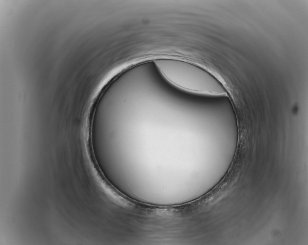 X0000099421523200805090739
