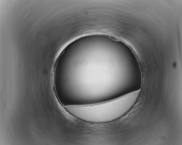 X0000099421524200805090739