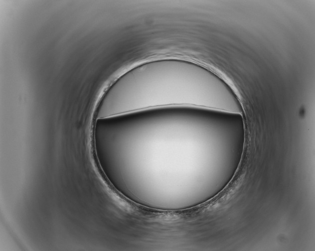 X0000099421525200805090739