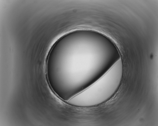 X0000099421527200805090739