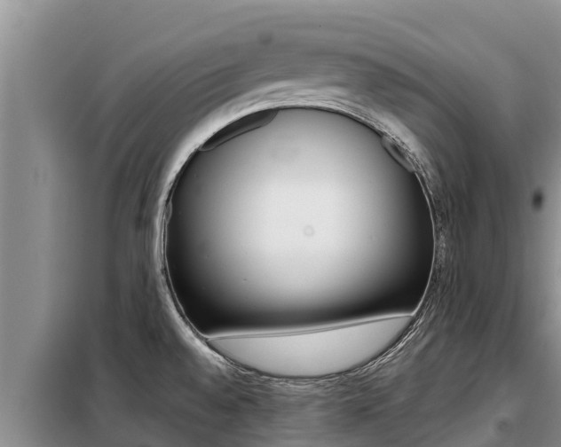 X0000099421528200805090739