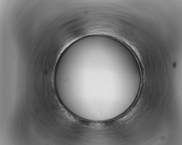 X0000099421529200805090739