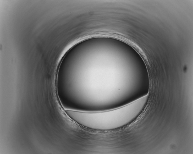 X0000099421530200805090739