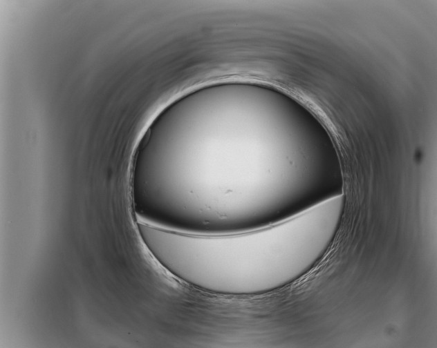X0000099421532200805090739