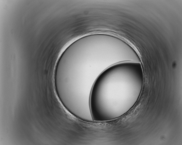 X0000099421533200805090739
