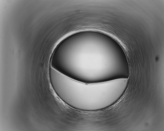 X0000099421534200805090739