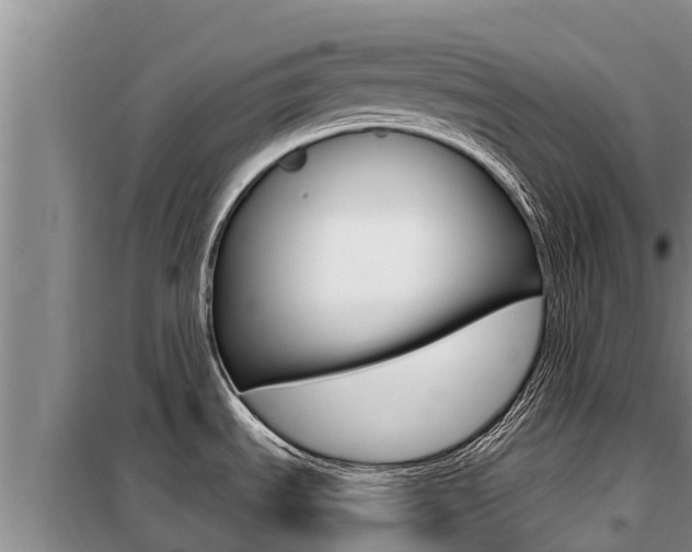 X0000099421535200805090739