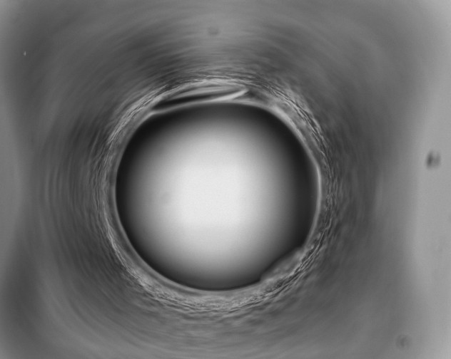 X0000099420001200805091254