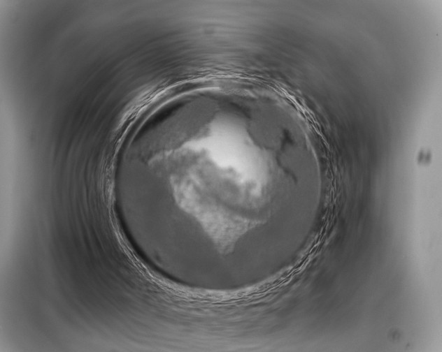 X0000099420002200805091254