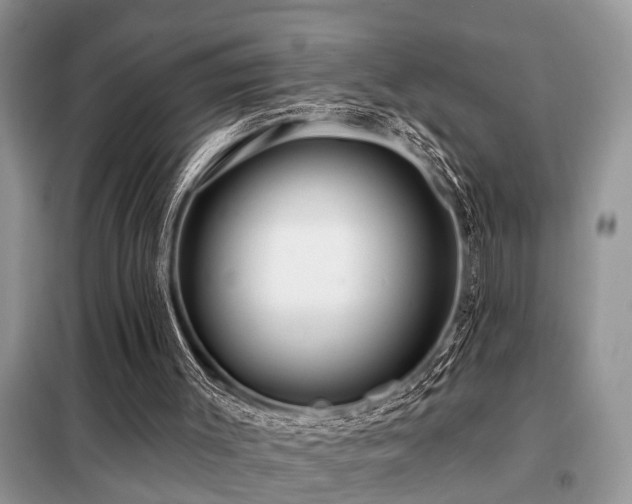 X0000099420003200805091254