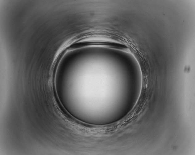 X0000099420004200805091254