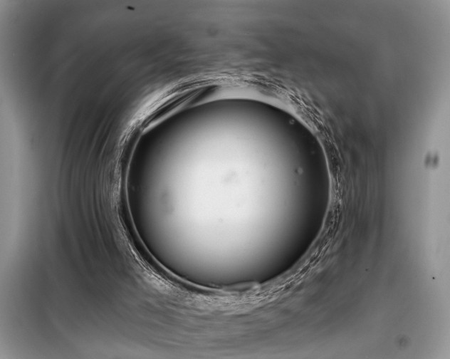 X0000099420005200805091254