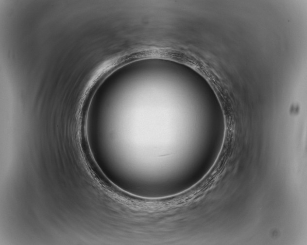 X0000099420006200805091254