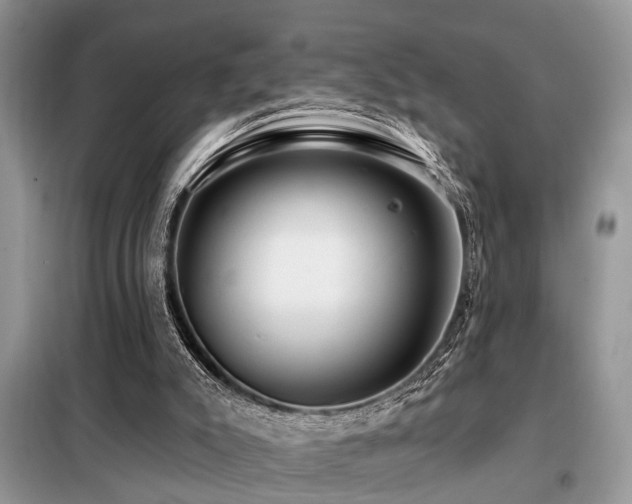 X0000099420007200805091254