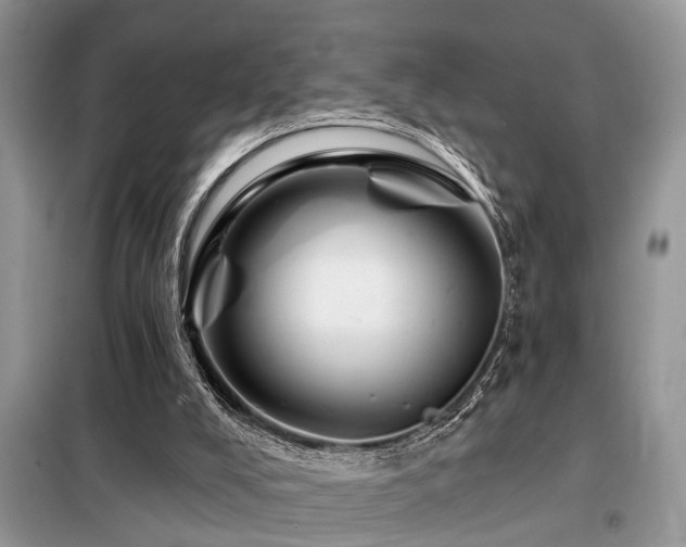 X0000099420008200805091254