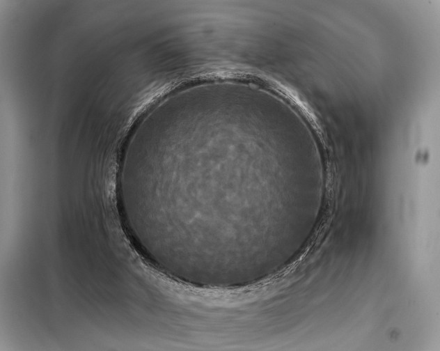X0000099420010200805091254