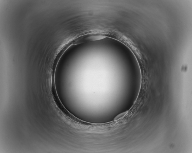 X0000099420011200805091254