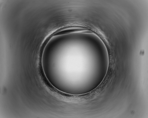 X0000099420012200805091254