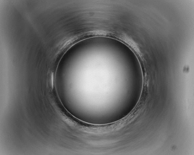 X0000099420013200805091254