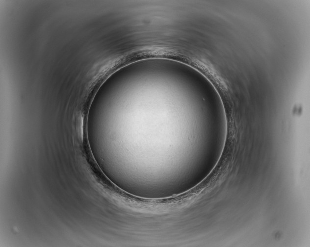 X0000099420014200805091254