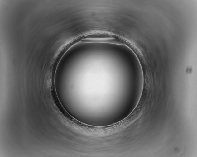 X0000099420015200805091254