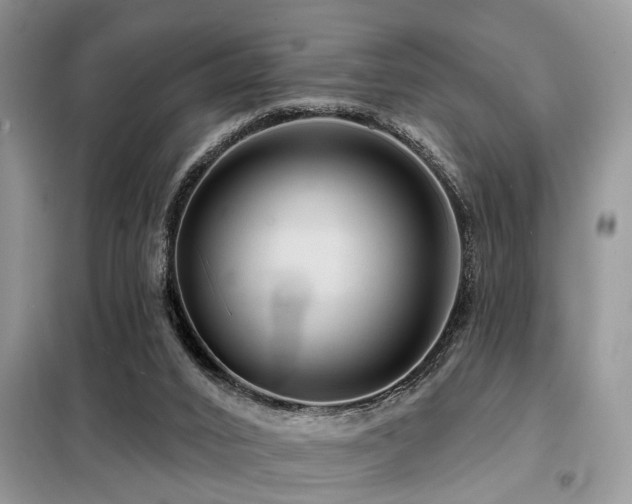 X0000099420016200805091254