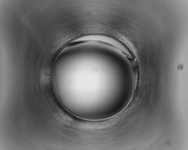 X0000099420017200805091254