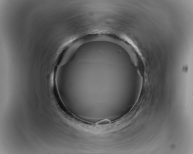 X0000099420019200805091254