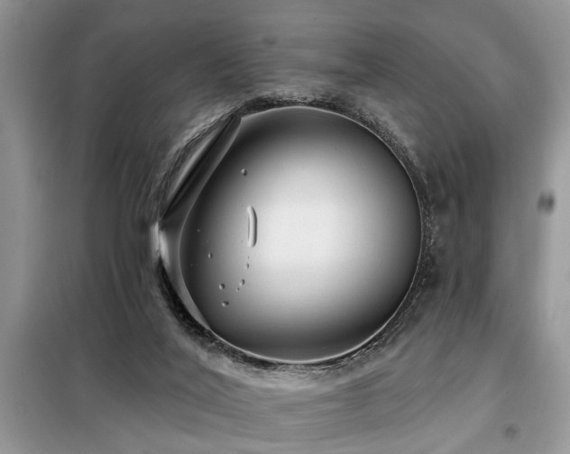 X0000099420020200805091254