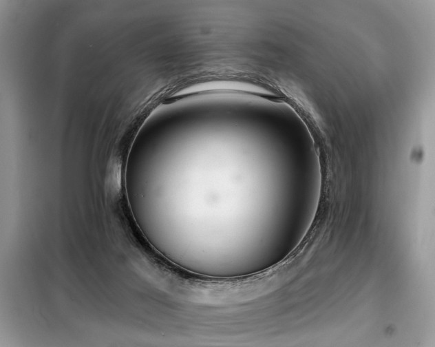 X0000099420021200805091254