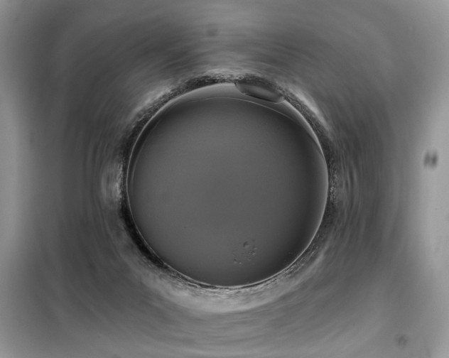 X0000099420023200805091253