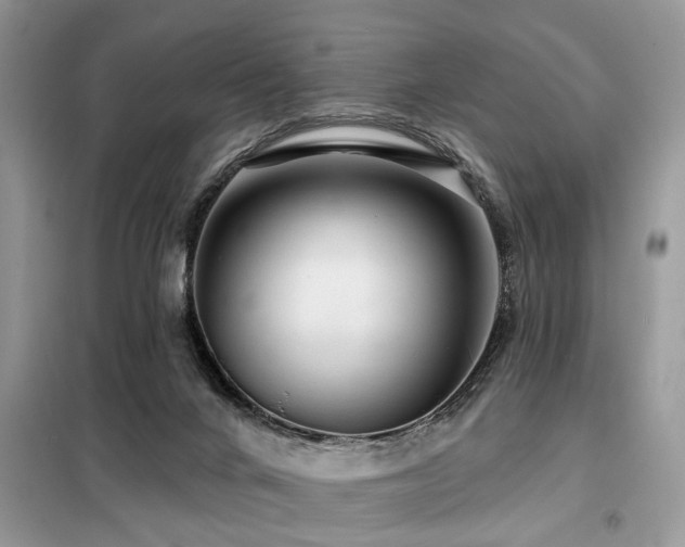 X0000099420024200805091253